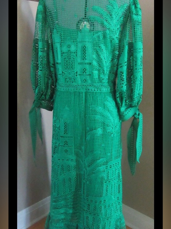 House of Harlow 1960 Green Crochet Embroidered Long Sleeve Maxi Dress Sz S NWOT - Picture 7 of 11